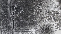 千冬展