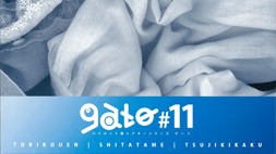 gato#11