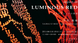 aspect of LUMINOUS RED 