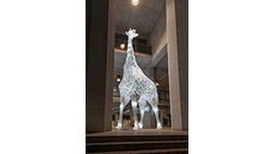 京造ねぶた展