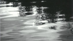 水墨最前線2014 ―尾長良範　斉藤典彦　山河全―