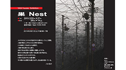 八木佑介　solo exhibition　「巣 Nest 」