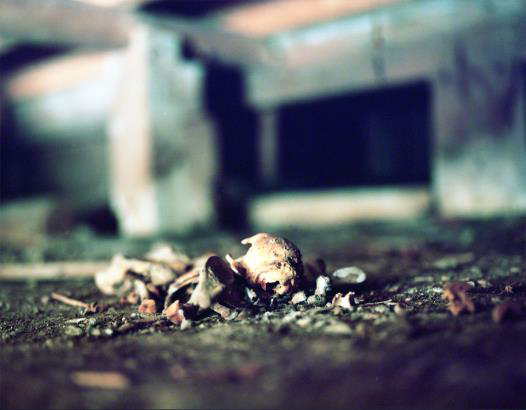 picture