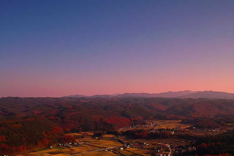 小野 靖子 京都芸術大学 通信教育課程WEB卒業・修了制作展2023