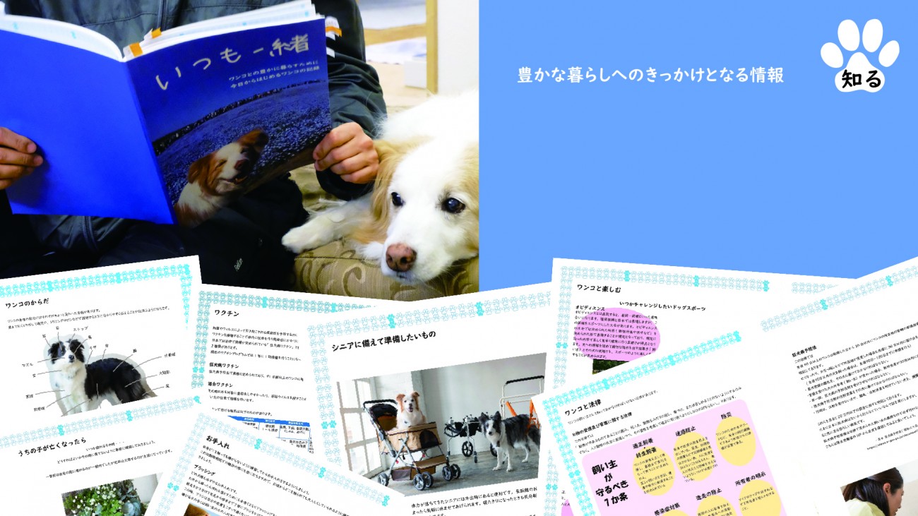 早川 裕子 京都芸術大学 通信教育 Web卒業 修了制作展21 早川 裕子 京都芸術大学 通信教育 Web卒業 修了制作展21