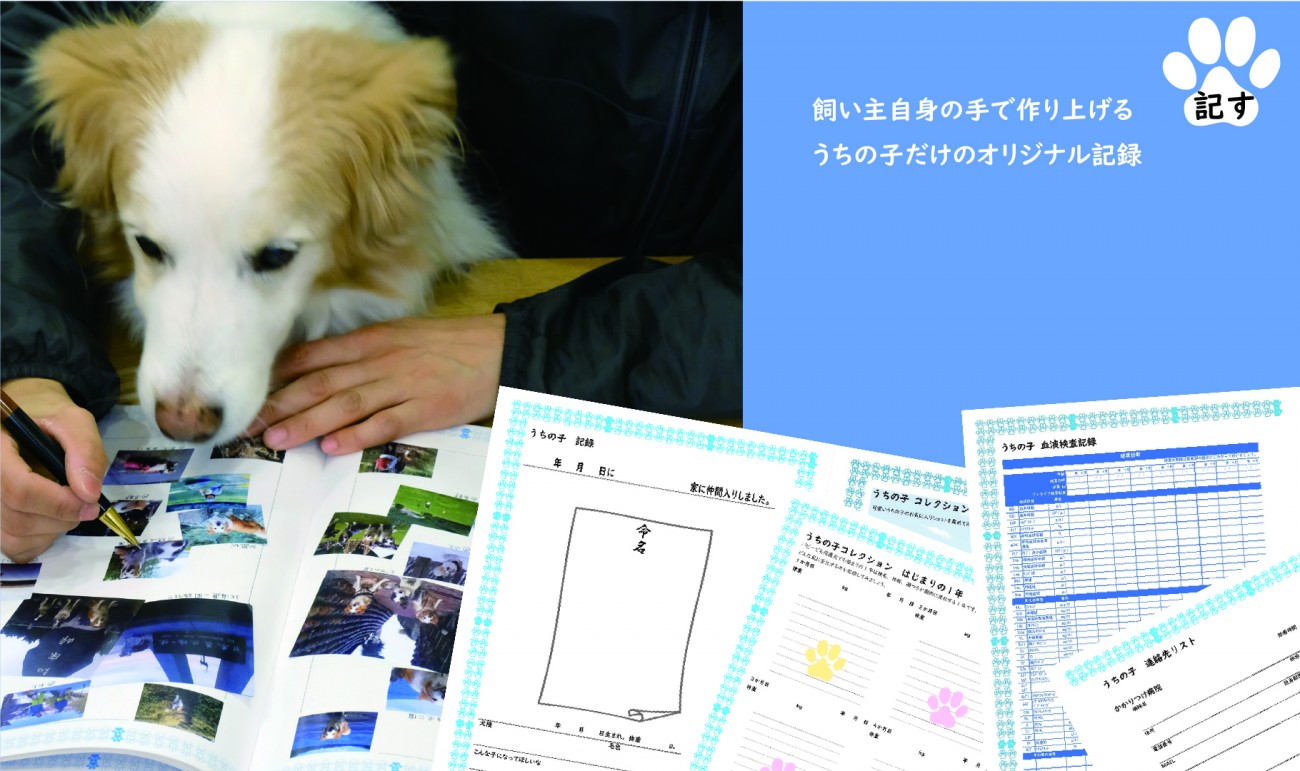 早川 裕子 京都芸術大学 通信教育 Web卒業 修了制作展21