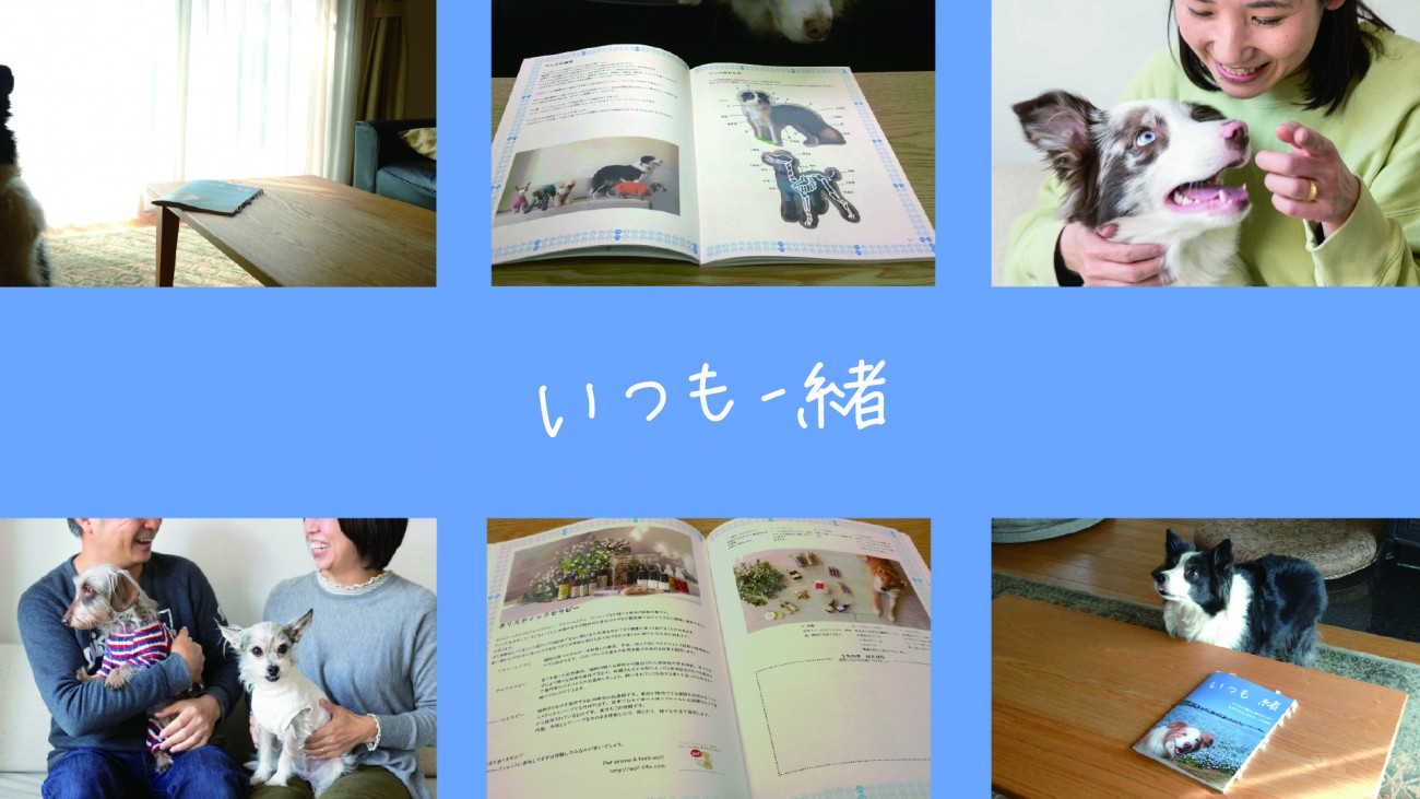 早川 裕子 京都芸術大学 通信教育 Web卒業 修了制作展21