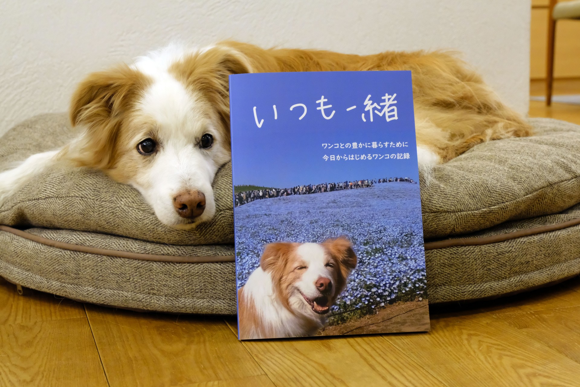 早川 裕子 京都芸術大学 通信教育 Web卒業 修了制作展21
