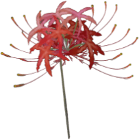 彼岸花