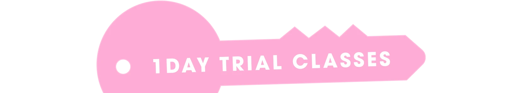 1DAY TRIAL CLASSES
