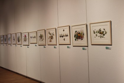 活動展写真 010