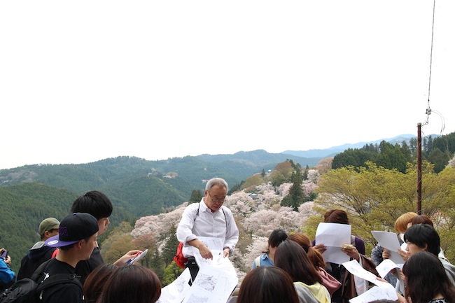 下千本を俯瞰しながら、吉野山全体の景観構造についての解説を聞く。