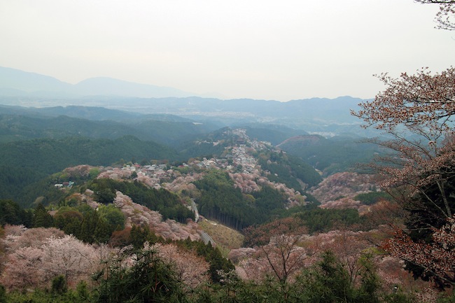 世尊寺跡(花矢倉)からの俯瞰景。