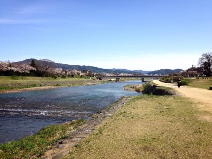 ♪春の鴨川♪