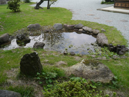 生命力たくましい草が庭園にたくさん生えています。