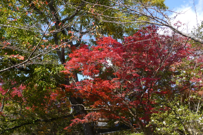 P1100896