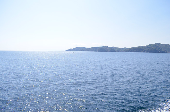 隠岐の海