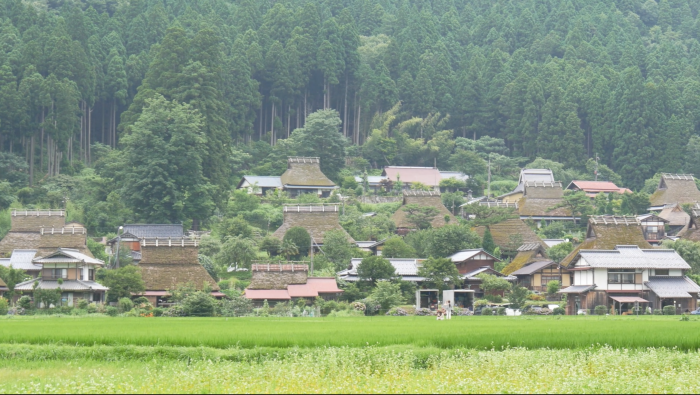 森の京都004