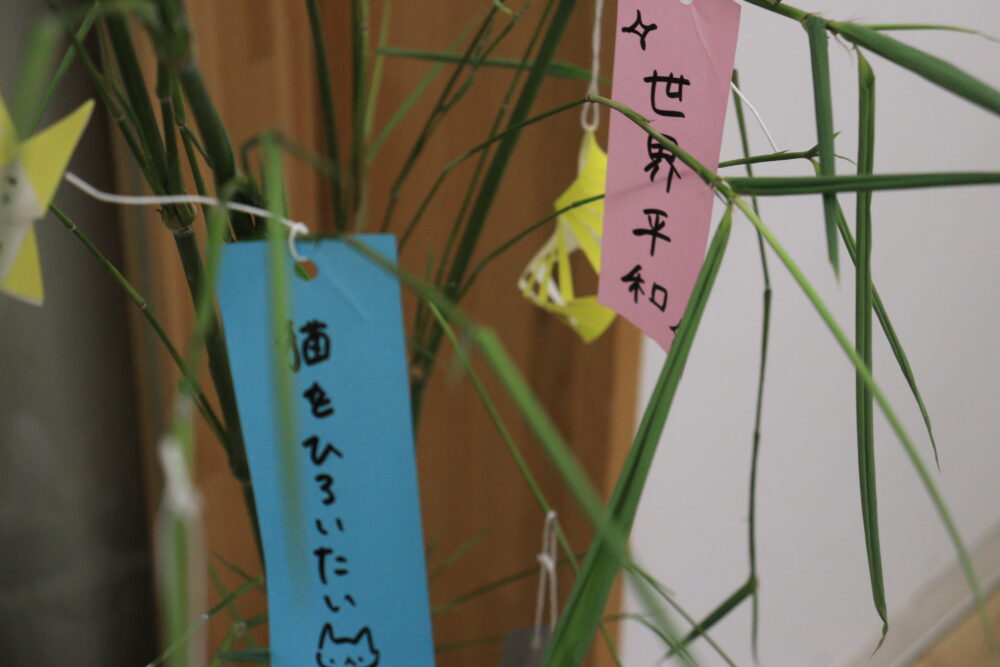 情報デザイン学科研究室　七夕