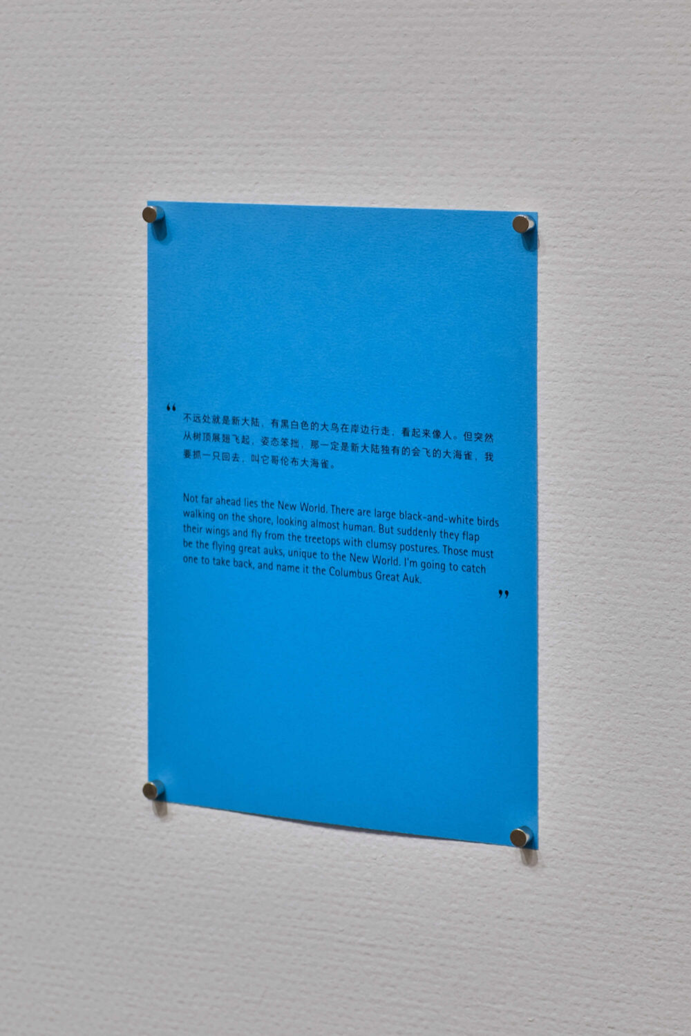 路夢瑶楊心苡1220共作展「観星 Lore of the Stargazers」