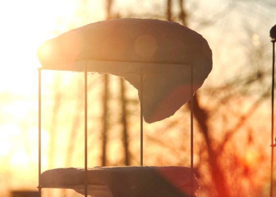 通信教育部blog 京都芸術大学