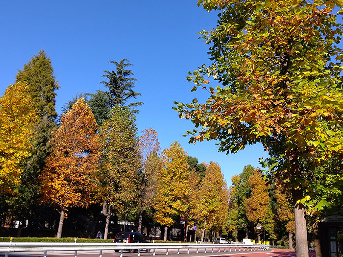 情報デザインコース 話題のピクトグラムを作ってみよう グラフィックデザインコース 通信教育部 情報デザインコース 話題のピクトグラムを作ってみよう グラフィックデザインコース 通信教育部