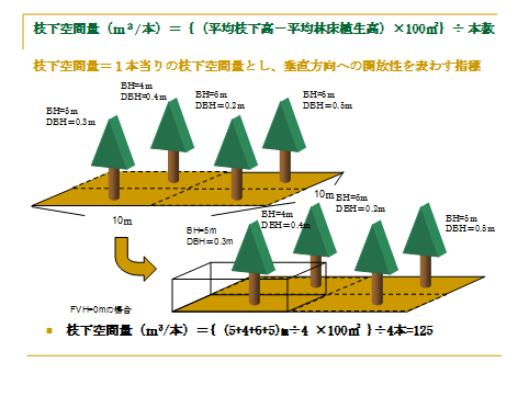 「枝下空間量」は林内空間の垂直方向への指標である。