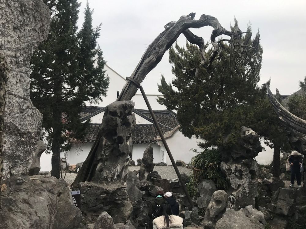 【書画コース】そうだ！写生に行こう