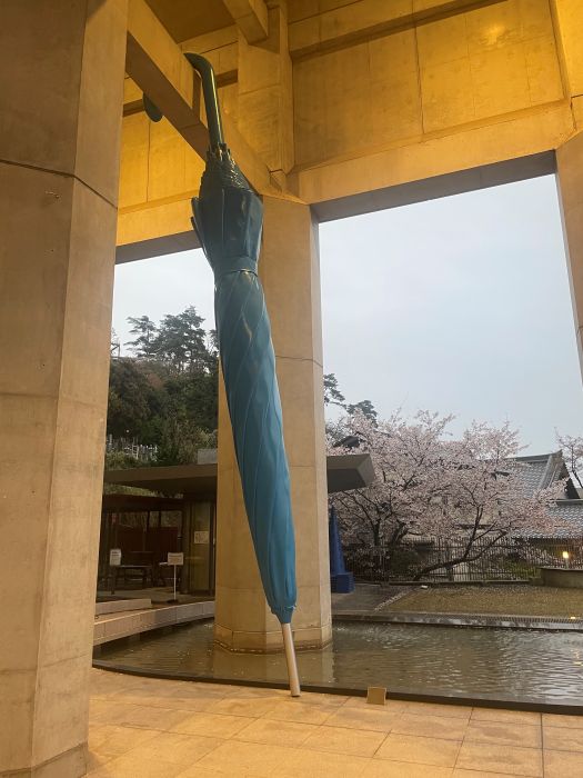 【芸術教養学科】夢と心配、シェアして解決！