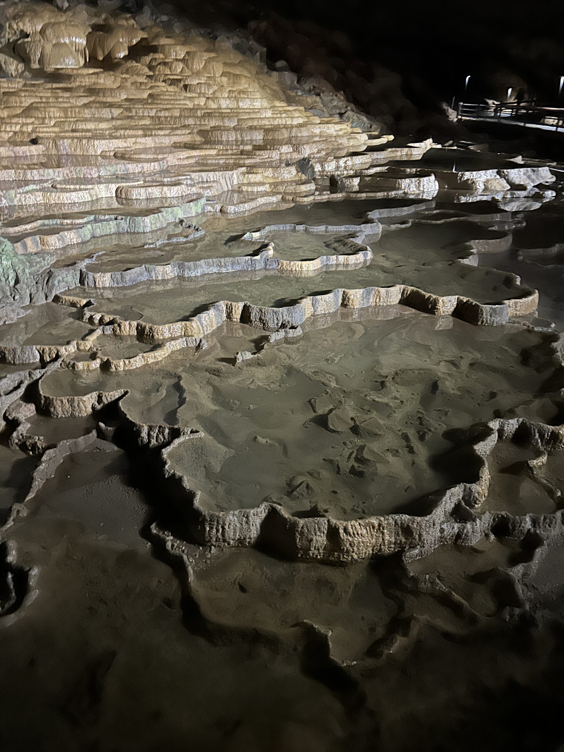 【書画コース】そうだ！山口に行こう！