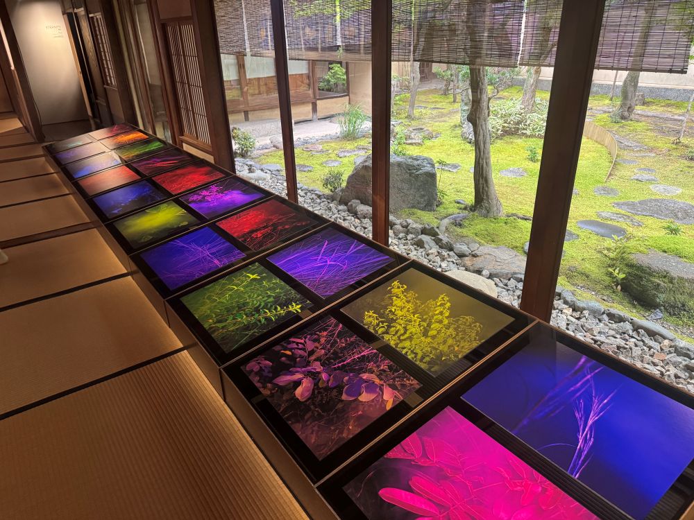 【写真コース】KYOTOGRAPHIE 京都国際写真祭とこれから始まる展示、公募展など