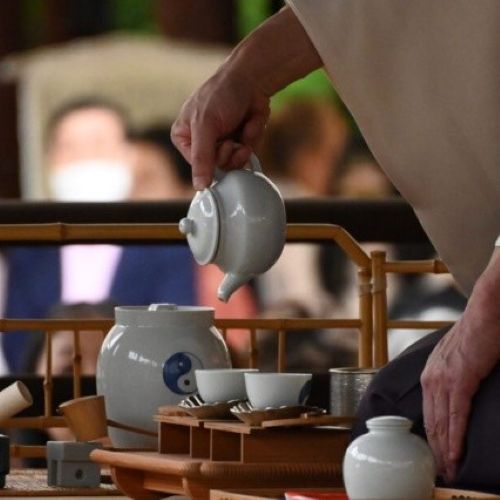 【和の伝統文化コース】「煎茶」の真髄に触れる、風雅な旅 ― スクーリング科目のご紹介