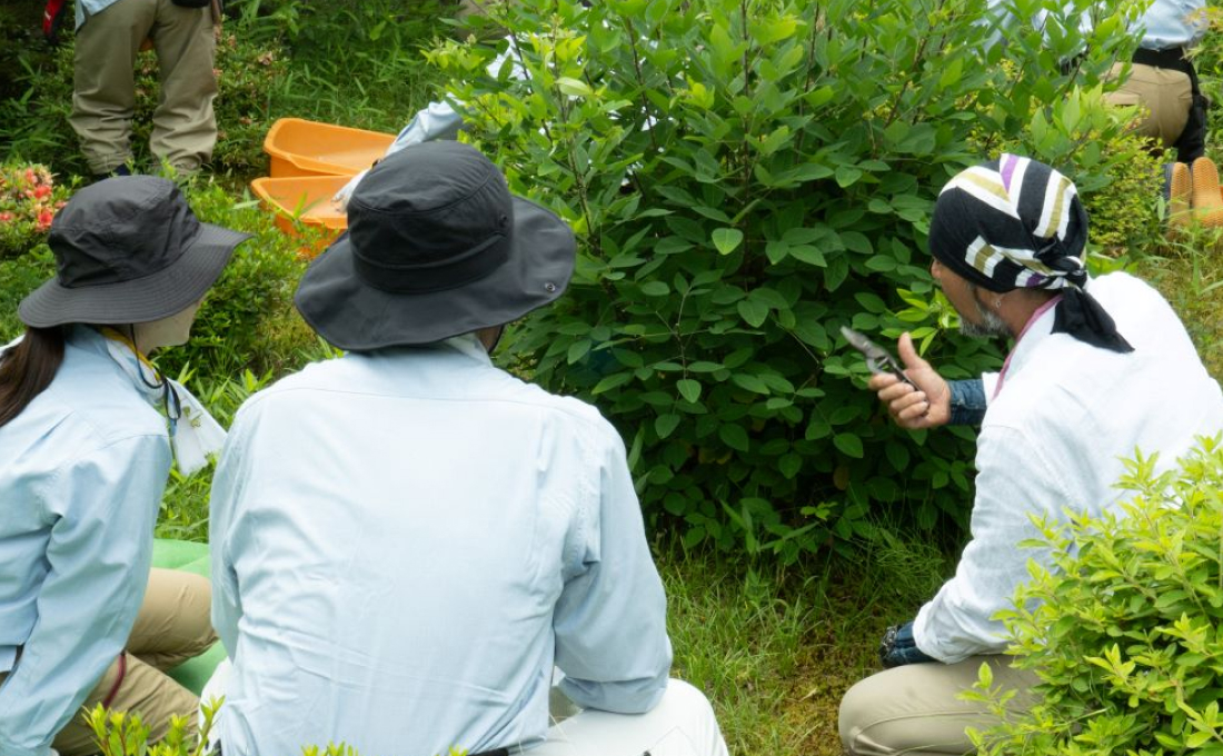 対面スクーリングの魅力