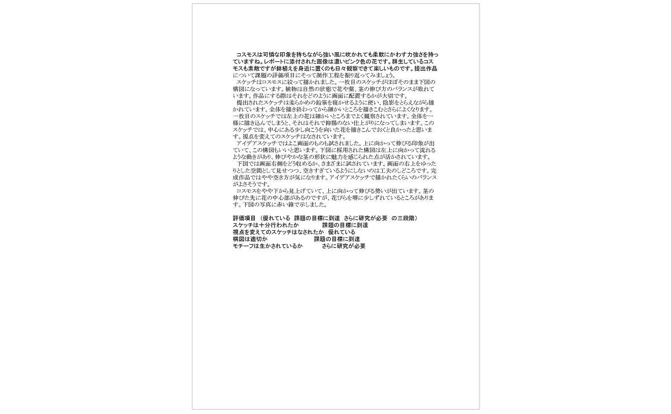 添削・講評指導例
