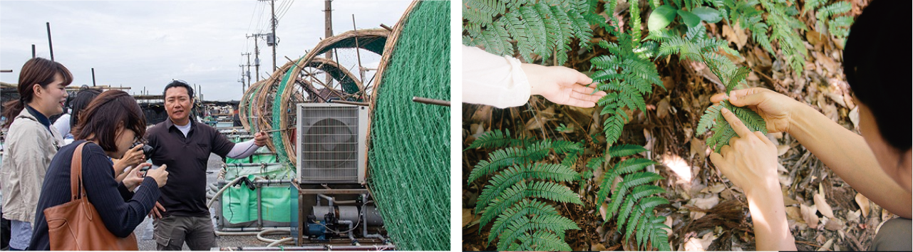 実際に箏に触れる