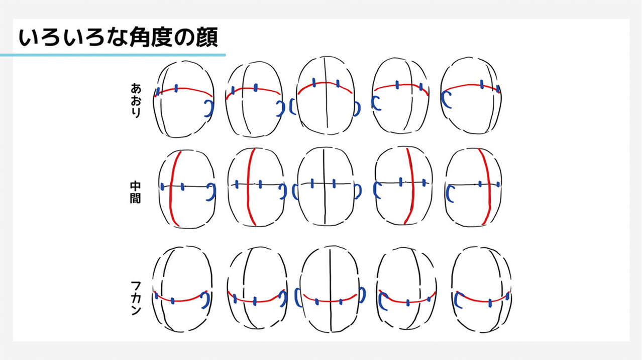 いろいろな角度の顔