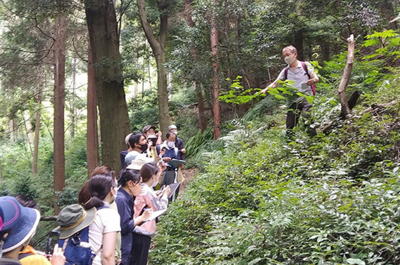 植物の分類・生態や多面的な機能を学ぶ