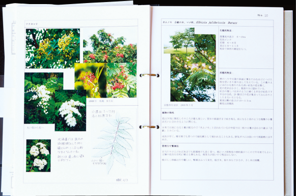 自分だけの樹木図鑑をつくる